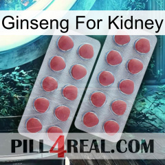 Ginseng For Kidney 19